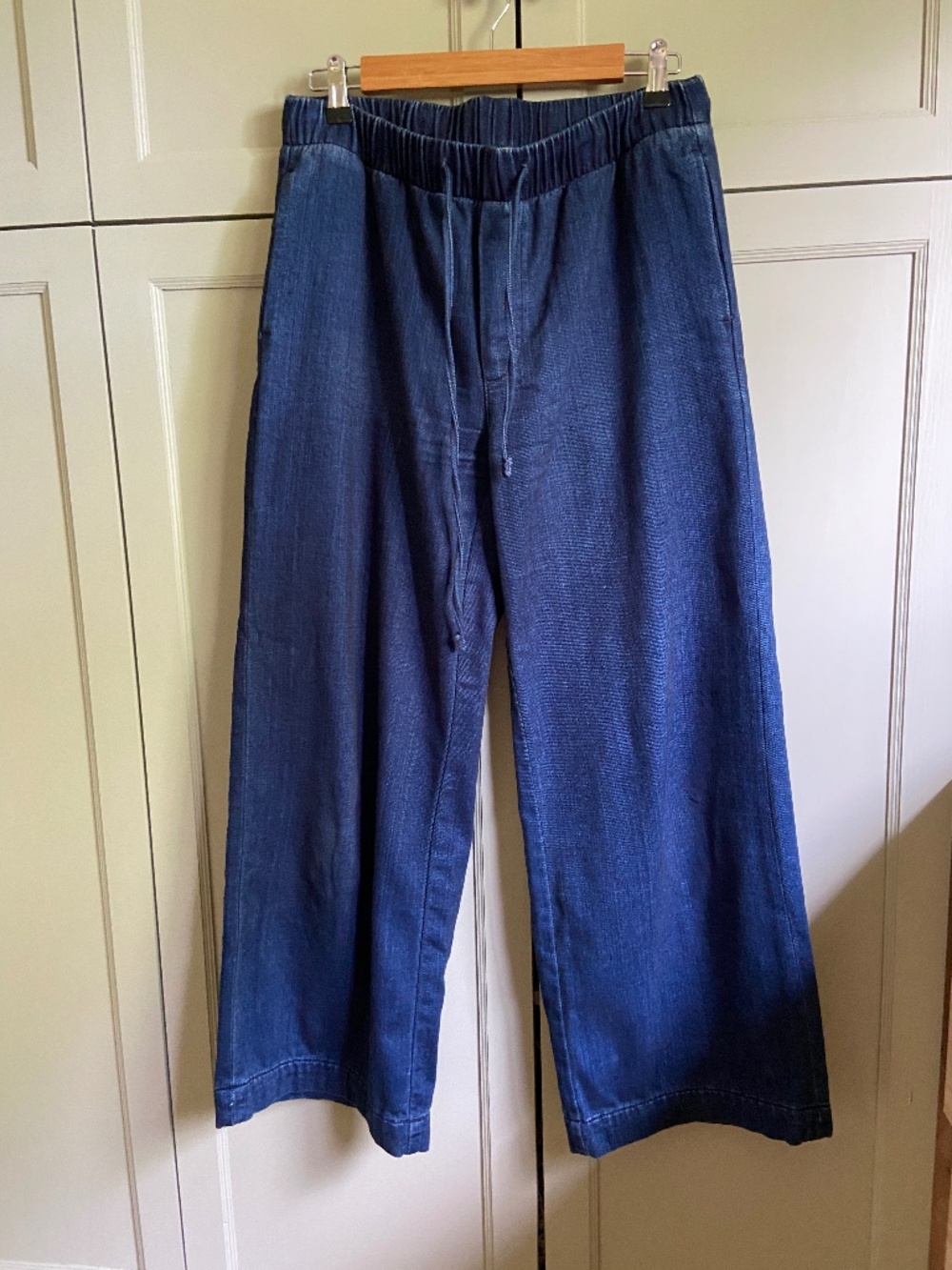AE Dreamy Drape Low-Rise Baggy Ultra-Wide Leg Jean, Fleece Lined